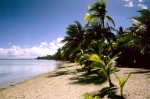 Playa en el Motu pitiaau. Bora Bora