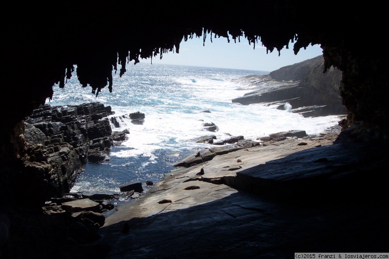 Viajar a Adelaida (Adelaide)- Australia del Sur