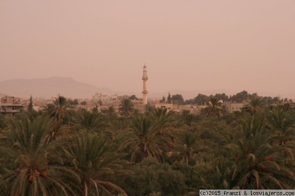 Oasis
Oasis de Palmyra
