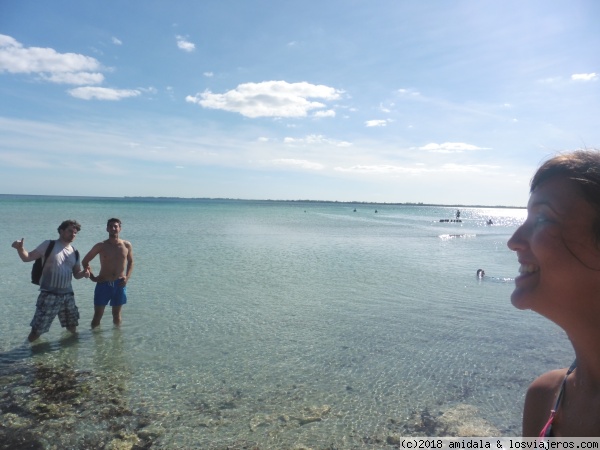 Playa Larga
Paradita en el Camino a Cienfuegos
