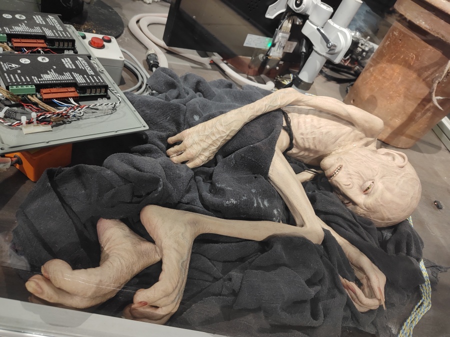 Día 3 de julio. Warner Bros. Studio Tour London - Viaje a Londres y alrededores en julio 2025 (5)