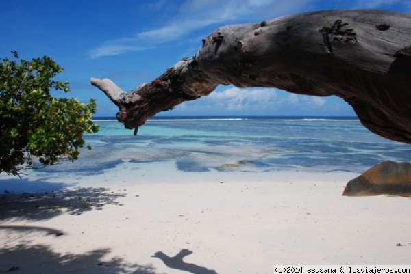 Playa de Seychelles
Arena blanca, mar turquesa y un arrecife que llega hasta la orilla.
Pura relajación y naturaleza
