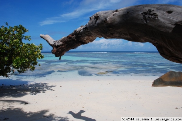 Playa de Seychelles
Arena blanca, mar turquesa y un arrecife que llega hasta la orilla.
Pura relajación y naturaleza
