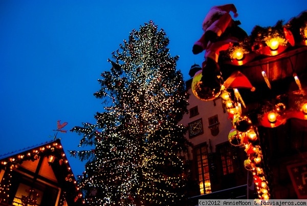 Navidad en Frankfurt
Mercadillo y arbol gigante en Frankfurt
