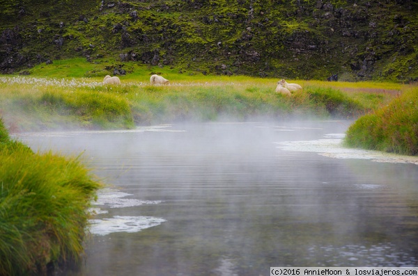 Pozas termales en Landmannalaugar - Islandia
Pozas de agua caliente en la zona de acampada de Landmannalaugar
