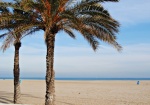 Palmeras y paz en la playa de la Malvarrosa