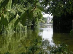 St James Park
James, Park, Londres, tantos, rincones, parques