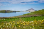 Lago Myvatn - Islandia