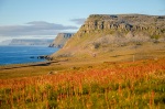 Vistas desde Látrabjarg - Islandia