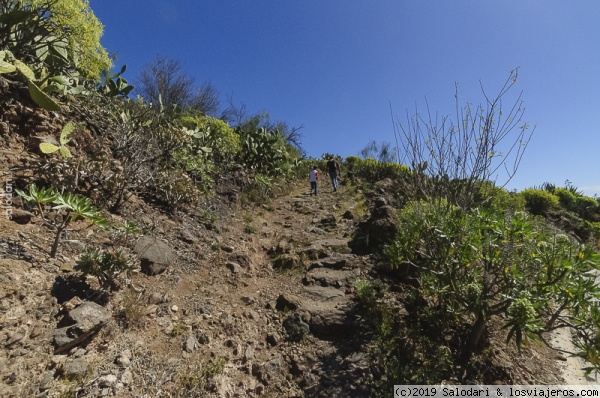 CUEVAS DE LA AUDIENCIA O DE RISCO PINTADO (Temisas, Gran Canaria)
Camino de subida a las Cuevas de la Audiencia
