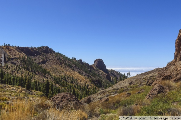 PARQUE NACIONAL DE EL TEIDE-PINAR EN EL BARRANCO DE TAUCE
BARRANCO DE TAUCE Y MAR DE NUBES
