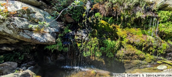 Andros-Cascada de Phytara
Paisaje de interior, muestra de los muchos manatiales que recorren la isla
