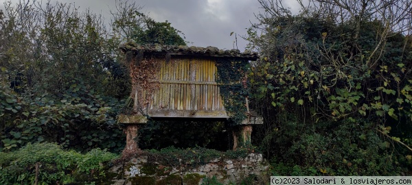 Miradores, fotografía en la Ribeira Sacra - Foro Galicia