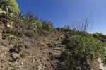 CUEVAS DE LA AUDIENCIA O DE RISCO PINTADO (Temisas, Gran Canaria)