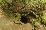 SENDERO DE LOS GUARDIANES CENTENARIOS (TACORONTE-TENERIFE)