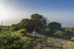 EL HIERRO, EL SABINAR
EL HIERRO, SABINAR, DEHESA