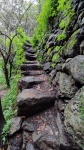 BARRANCO DEL ÁLAMO-TEROR-GRAN CANARIA