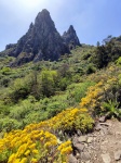 Roque Grande-Gran Canaria
Roque, Grande, Gran, Canaria, ruta, tajinaste, azul