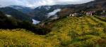 Mirador Abadía da Cova