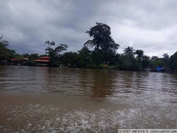 Canal de Tortuguero
Camino hacia Tortuguero por sus canales
