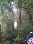 Bosque Lluvioso de Monteverde