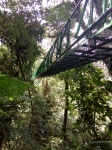 Puente desde abajo
Puente, desde, abajo, puentes, colgante