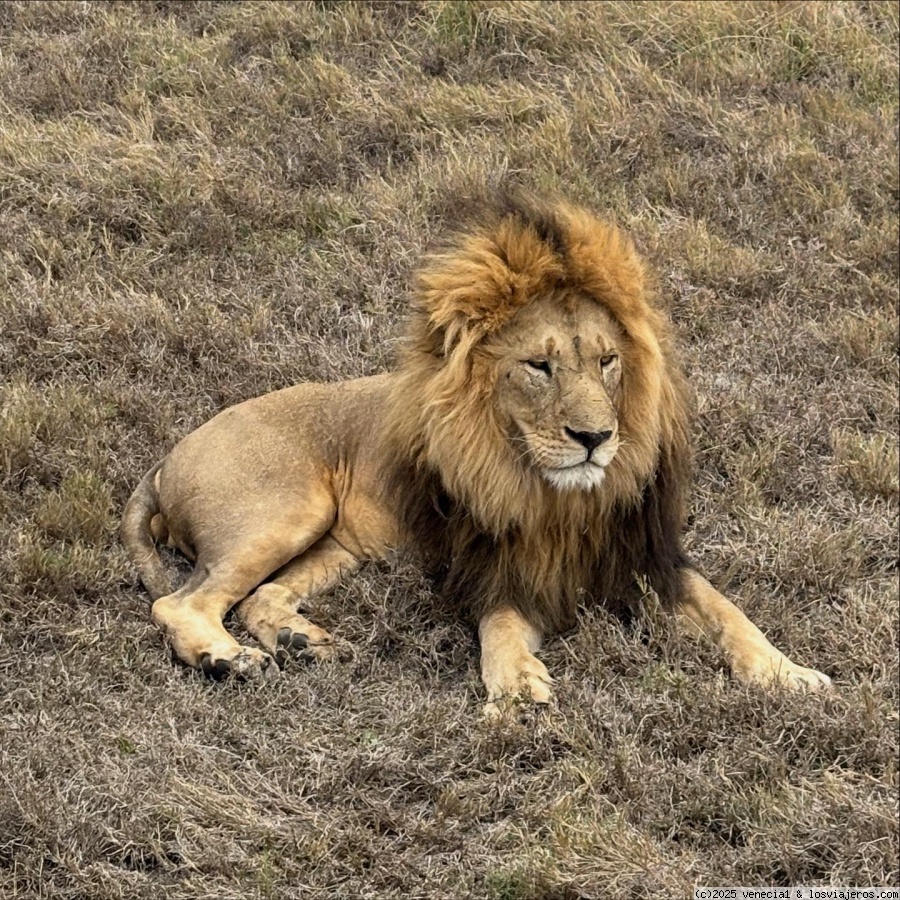 Experiencias recién llegados Tanzania (con Zanzíbar) - Foro África del Este