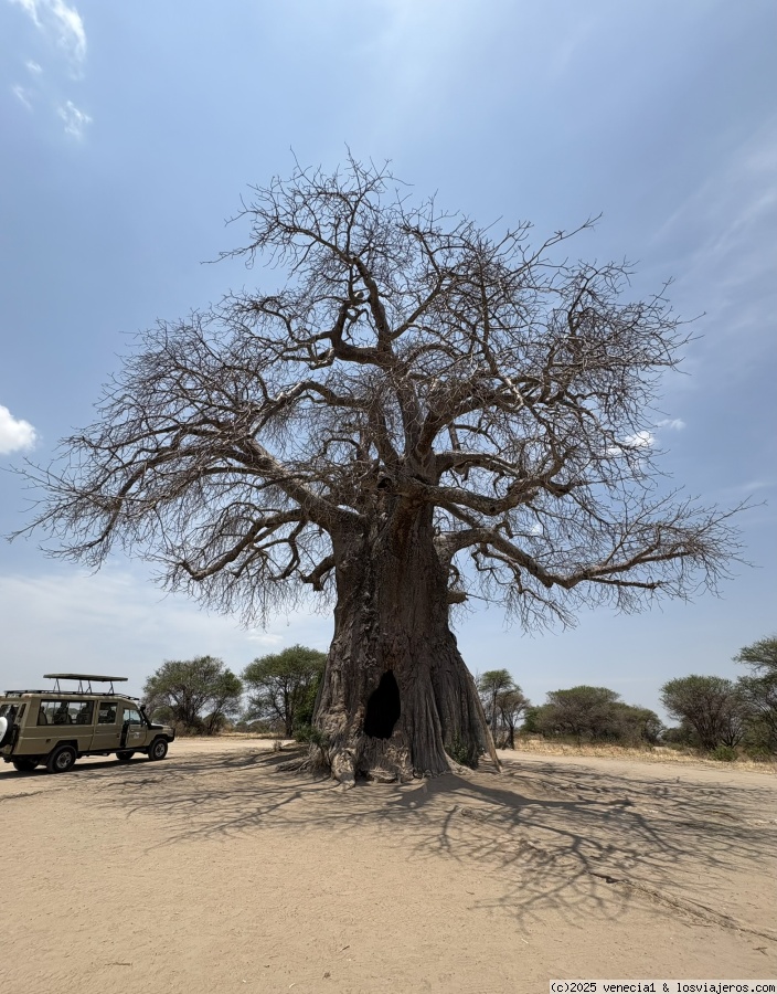 Parque Nacional Tarangire - Tanzania - Foro África del Este