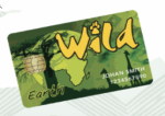 Wild Card