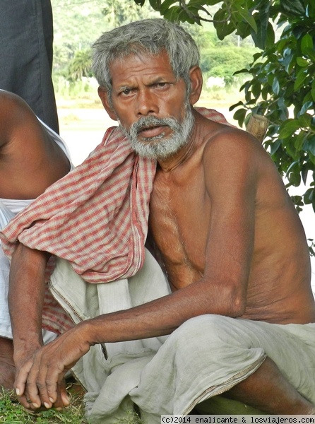 BElleza
La belleza puede manifestarse de múltiples formas. He aquí una...
