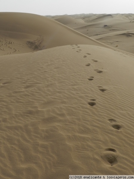 Caminante no hay camino...
Una de las mayores experiencias que puedes encontrar en Irán es pasear por una de sus dunas de arena
