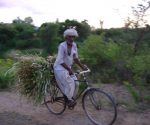 Ciclista
Ciclista, Branakpur, sobre, todo, rural