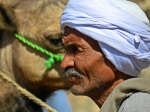 Camellero
Camellero, Daraw, Pequeño, Aswan, pueblecito, cerca, donde, celebra, prestigioso, mercado, camellos