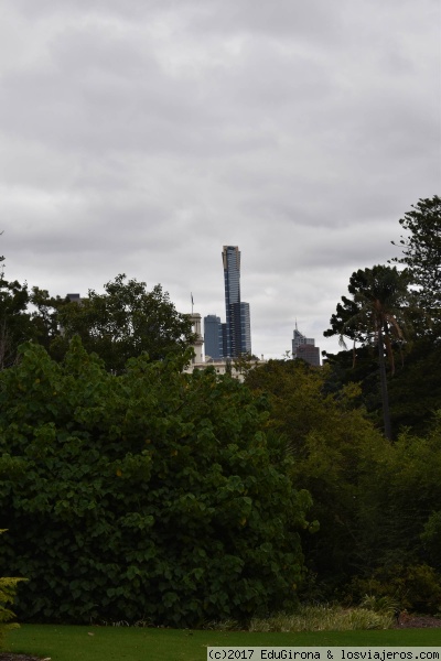 Erika Tower
Torre Erika, la más alta de Melbourne. Sonre los 300 metros aproximadamente. El color dorado que tiene, refleja la fiebre del oro que hubo en Victoria
