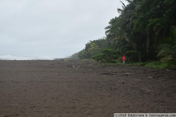 Mar Caribe Mawamba
El mar Caribe en el lodge de MAWAMBA (Tortuguero)
