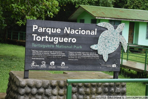 Tortugas en Costa Rica: Avistamiento y Desove - Forum Central America and Mexico