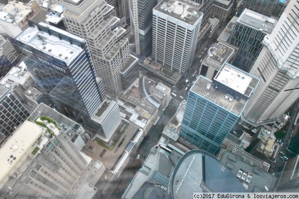 Vista Sidney
Desde las altura de la torre de Sidney, vista general
