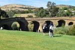Puente de Richmiond (tasmania)