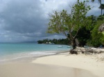 Playa privada cayo levantado con arbol
cayo levantado