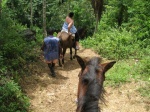 Camino Cascada del limón/samaná/a caballo
limón