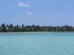 isla saona
republica dominicana