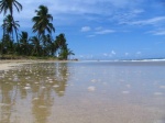 Playa de Macao
republica dominicana