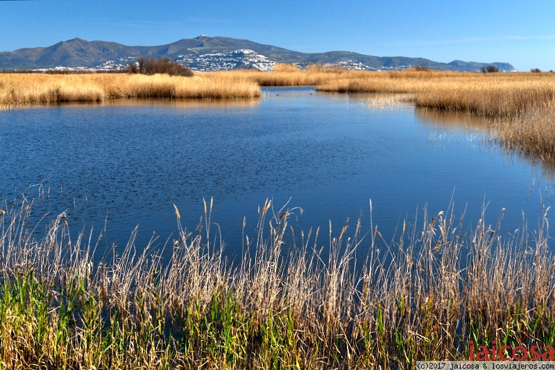 Senderismo en los Aiguamolls de l’Empordà, Roses - Girona