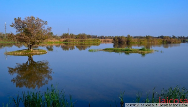 Aiguamolls del Empordá.Girona
Es un espacio natural protegido que comprende dos áreas casi contiguas. Una se sitúa entre la desembocadura del río Fluvià y Muga y la otra está al Norte de este último. Una larga extensión de playa de dunas ribetea el parque natural en su encuentro con las aguas del Golfo de Roses.
