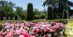 Jardin del Parterre.(Parque del Retiro).Madrid
