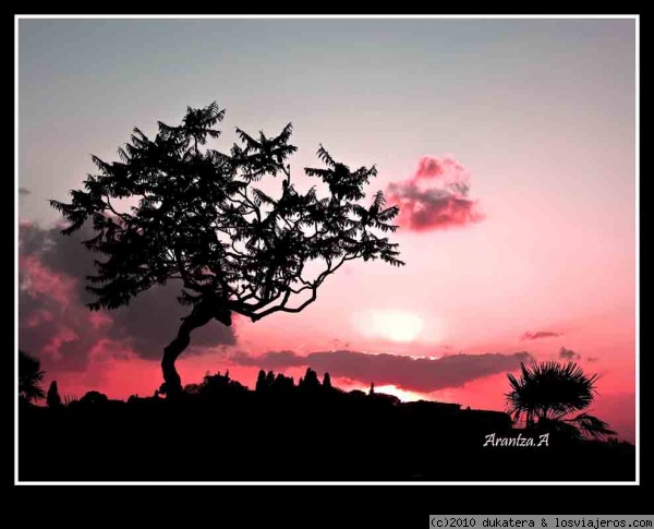 Sunset in Florence - Italy