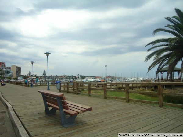 Puerto
Puerto de Punta del Este
