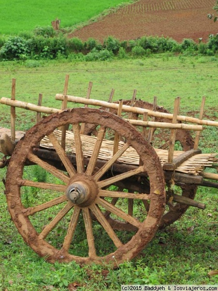 Carro en el campo
Carruaje y paisaje rural durante el trekking al Lago Inle
