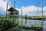 Lago Inle
Lago, Inle, Impresionantes, vistas, regala