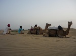 Camellos en el desierto
Camellos, Jaisalmer, desierto